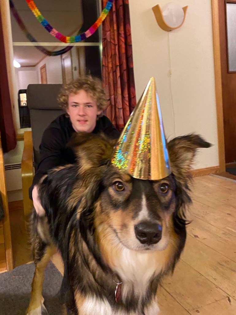 Nytår med Milla i Hundfjället, Sälen, Sverige.