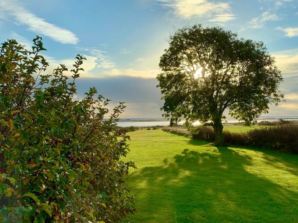 Udsigt fra sommerhus i Øsløs/Vejlerne