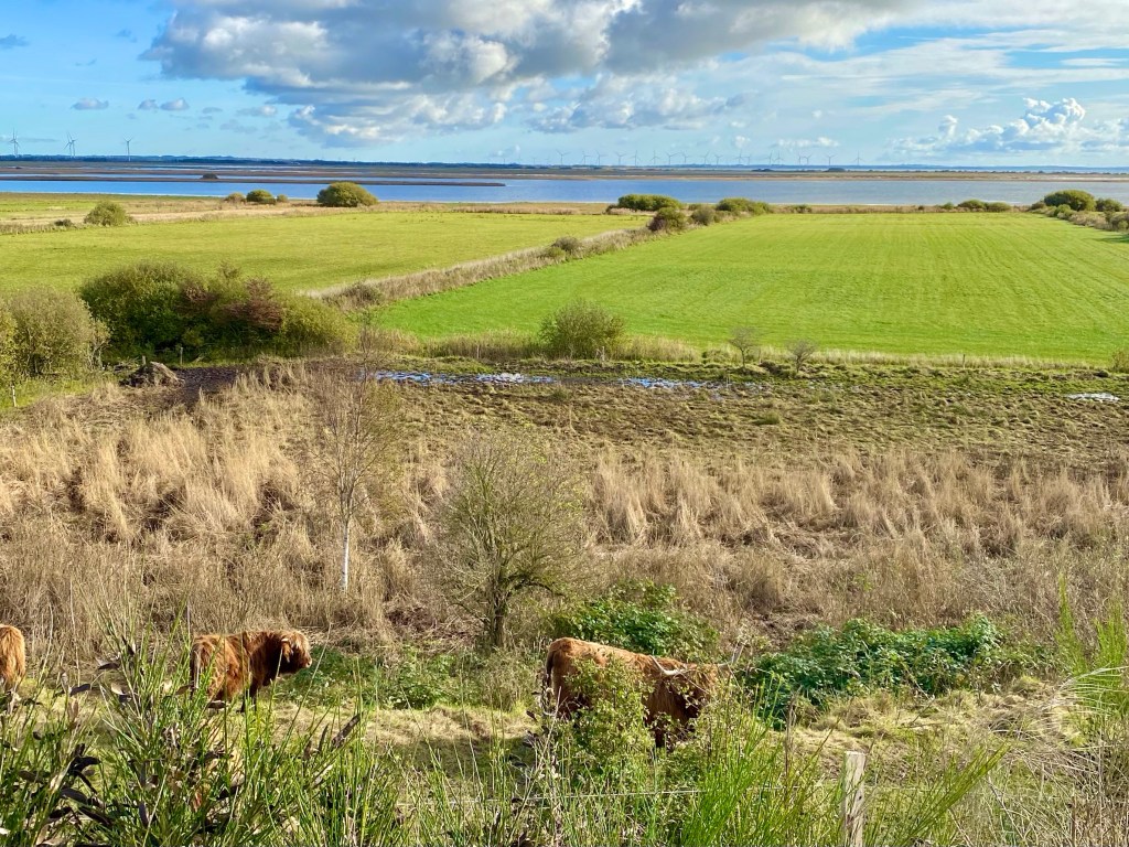 Området ved sommerhus i Øsløs/Vejlerne