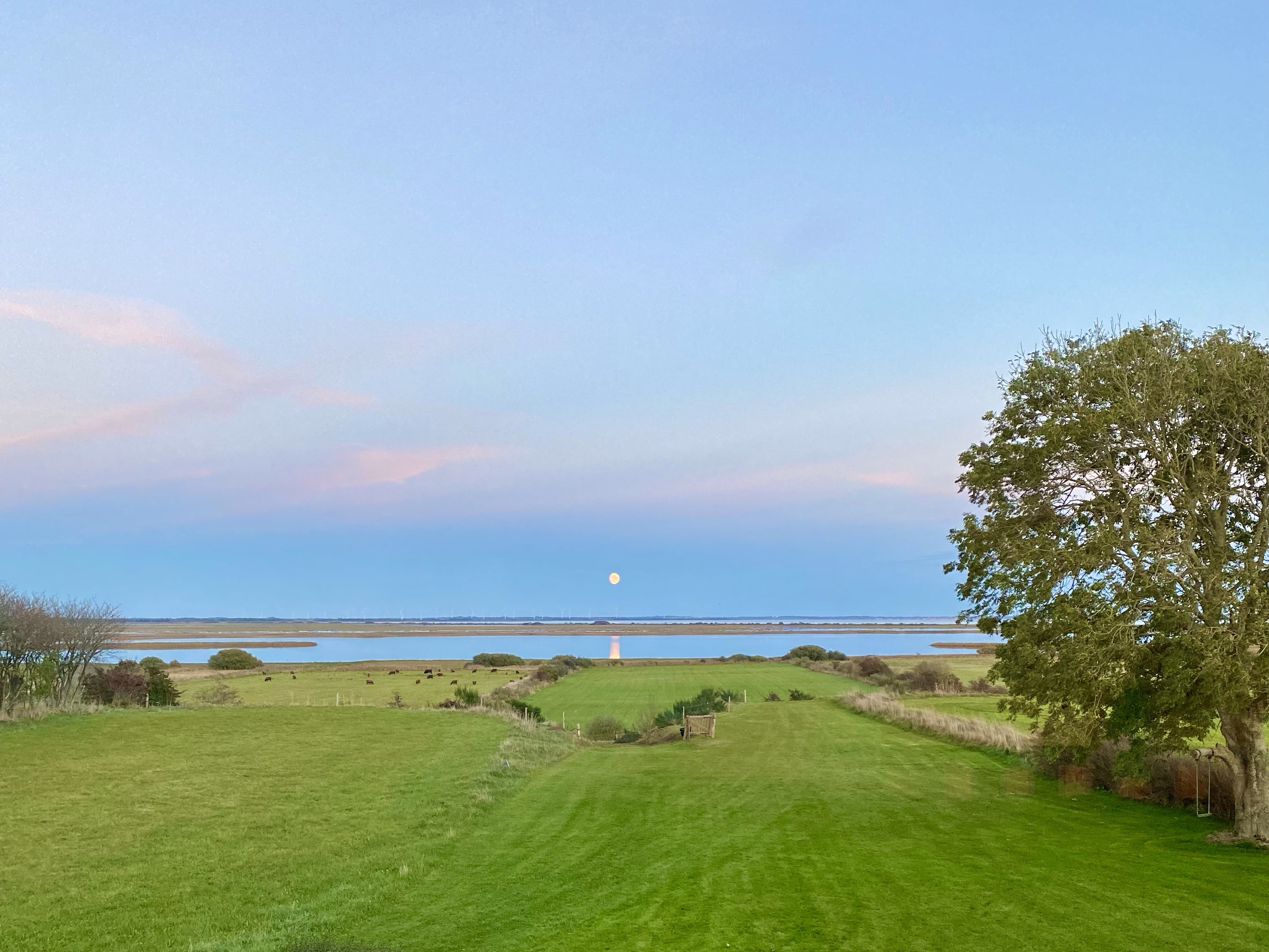 Udsigt sommerhuset Vejlerne