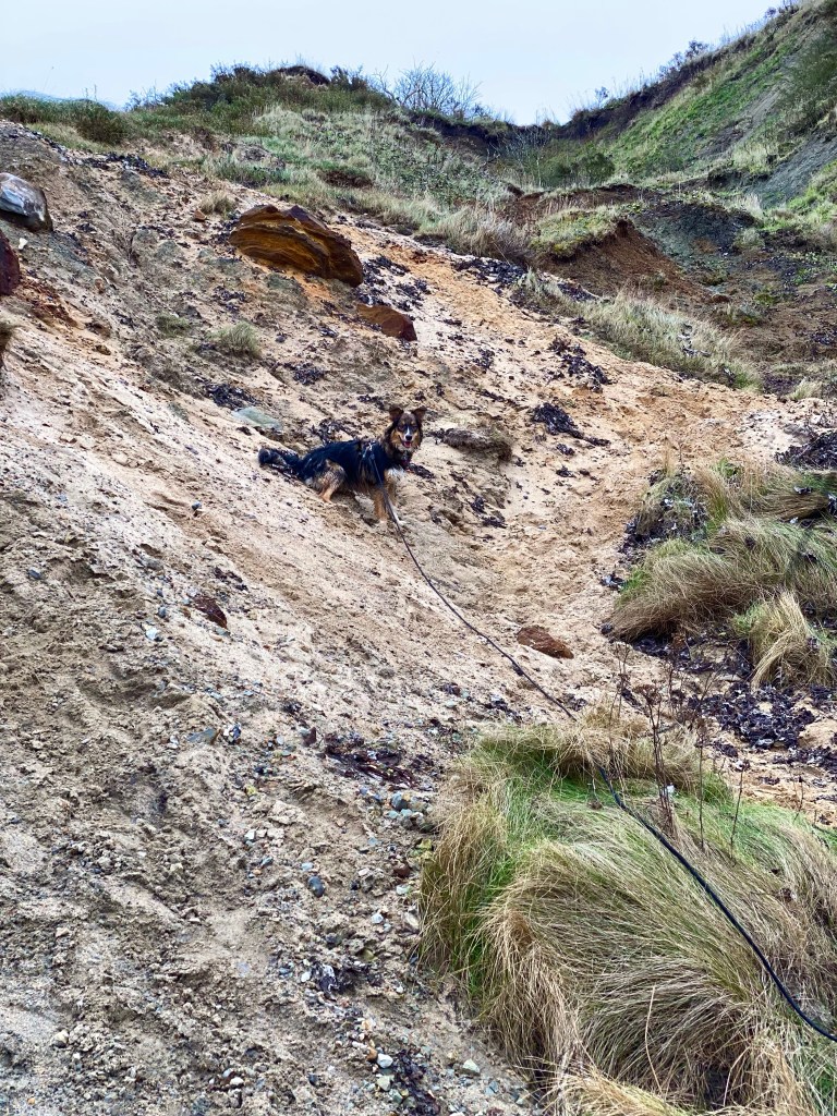 Milla har en ide om at hun skal op og kravle alle steder hvor hun kan.