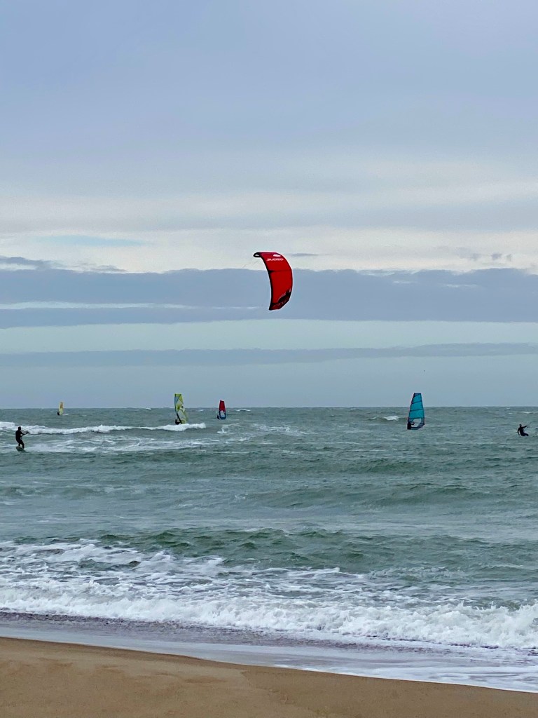 Surfing på Cold Hawaii.