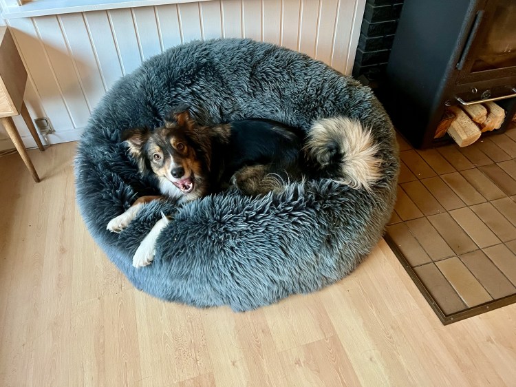 Milla valgte med det samme vi ankom til sommerhuset i Ebdrup, denne plet til hendes yndligs sted.